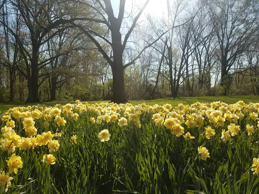 Country Club «Ramblewood Country Club», reviews and photos, 200 Country Club Pkwy, Mt Laurel, NJ 08054, USA