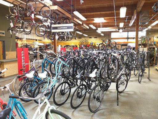 Camping Store «REI», reviews and photos, 7410 SW Bridgeport Rd, Tigard, OR 97224, USA