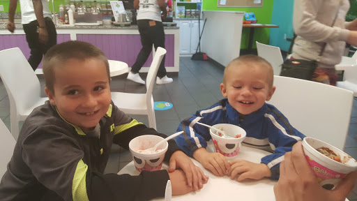 Frozen Yogurt Shop «sweetFrog Premium Frozen Yogurt», reviews and photos, 3911 Union Deposit Rd, Harrisburg, PA 17109, USA
