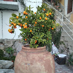 Photo n°4 de l'avis de Ewa. fait le 10/04/2023 à 17:30 sur le  Hotel Elios à Taormina