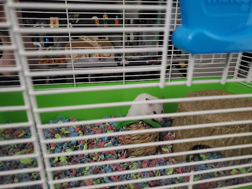 Pet Supply Store «PetSmart», reviews and photos, 11835 Retail Dr, Wake Forest, NC 27587, USA