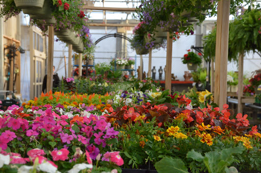 Lumber Store «Sutherlands», reviews and photos, 901 S 291st Hwy, Liberty, MO 64068, USA