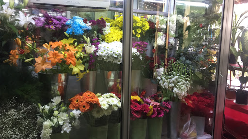 Marmaris İcmeler Çiçekçilik Florist
