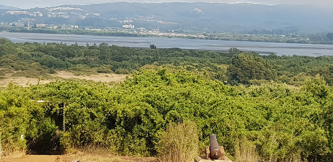 Horarios de Mirador Hualpén (Parque Pedro del Río Zañartu)