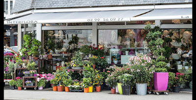 Fleuriste La Rose Rouge - Saint-Malo à Saint-Malo