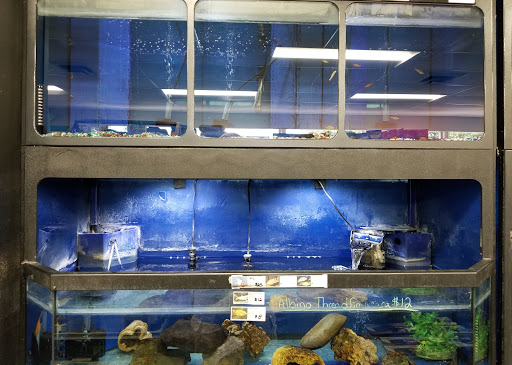 Pet Supply Store «The Grooming Place Pet Shop», reviews and photos, 1713 Main St, Chester, MD 21619, USA