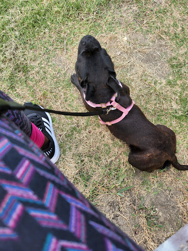 Park «Katherine B. Winniford Park», reviews and photos, 4900 Highlands Dr, McKinney, TX 75070, USA