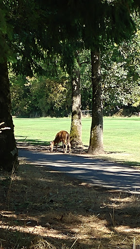 Private Golf Course «Michelbook Country Club», reviews and photos, 1301 NW Michelbook Ln, McMinnville, OR 97128, USA