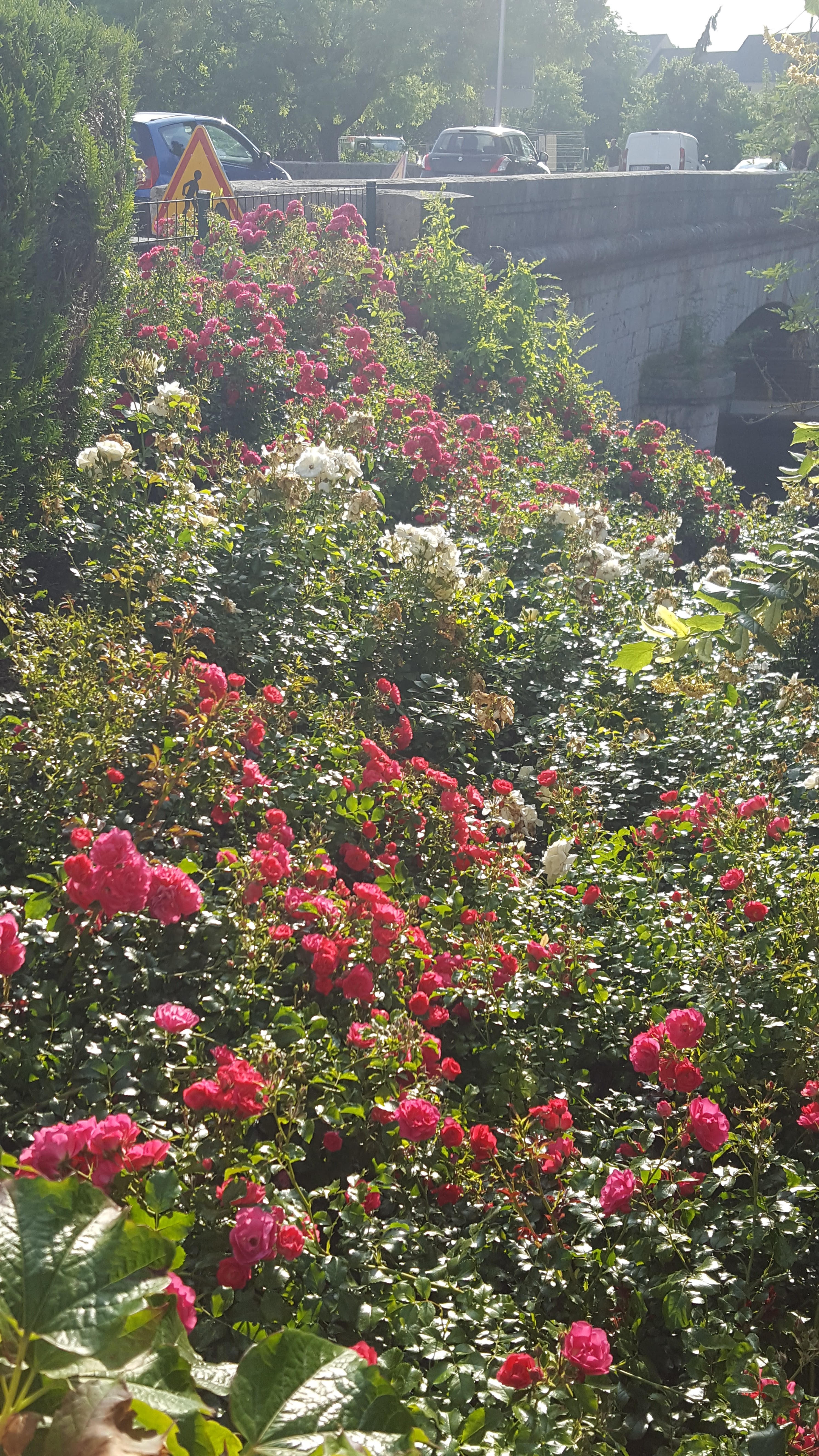 Photo n° 30 de l'avis de Dominique.. fait le 24/06/2019 à 07:51