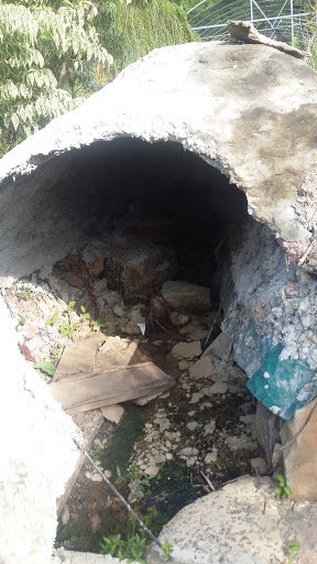 Pet Store «Ponds & Plants», reviews and photos