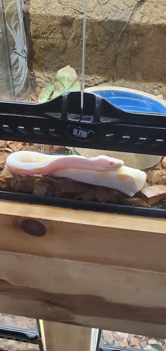 Pet Store «Pets Plus-Reptiles & Exotic», reviews and photos, 421 West Ave, Lockport, NY 14094, USA