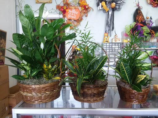 Florist «Send Your Love Flowers & Balloons», reviews and photos, 1417 SW Military Dr, San Antonio, TX 78221, USA