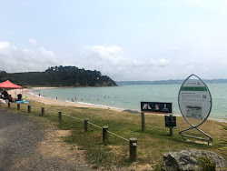 Photo de Mataitai Bay avec un niveau de propreté de très propre