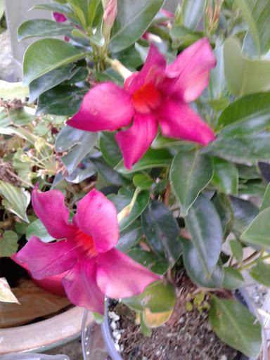 Hyundai Dealer «Tysinger Hyundai», reviews and photos, 2712 Magruder Blvd C, Hampton, VA 23666, USA