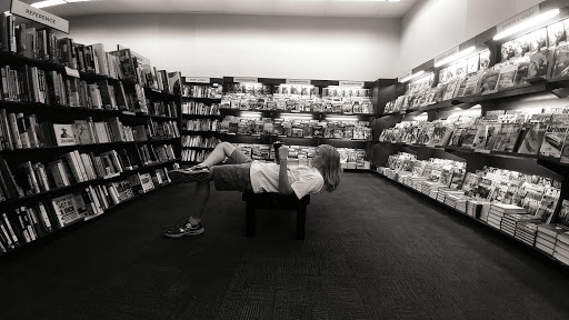 Book Store «Books-A-Million», reviews and photos, 9570 US-19, Port Richey, FL 34668, USA