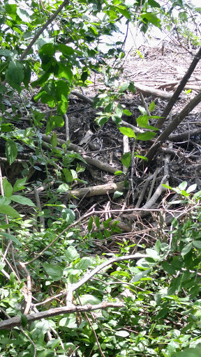 Park «Lake Front Park», reviews and photos, 23000 Jefferson Ave, St Clair Shores, MI 48080, USA