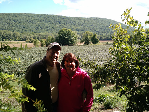 Winery «Inspire Moore Winery», reviews and photos, 197 N Main St, Naples, NY 14512, USA