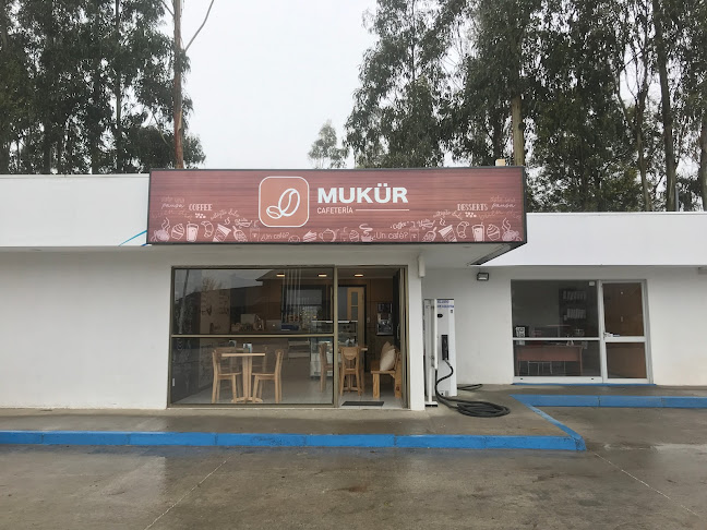 Cafeteria Mukür - Arauco