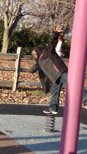 Tourist Attraction «Manoogian Mansion», reviews and photos, 9240 Dwight St, Detroit, MI 48214, USA