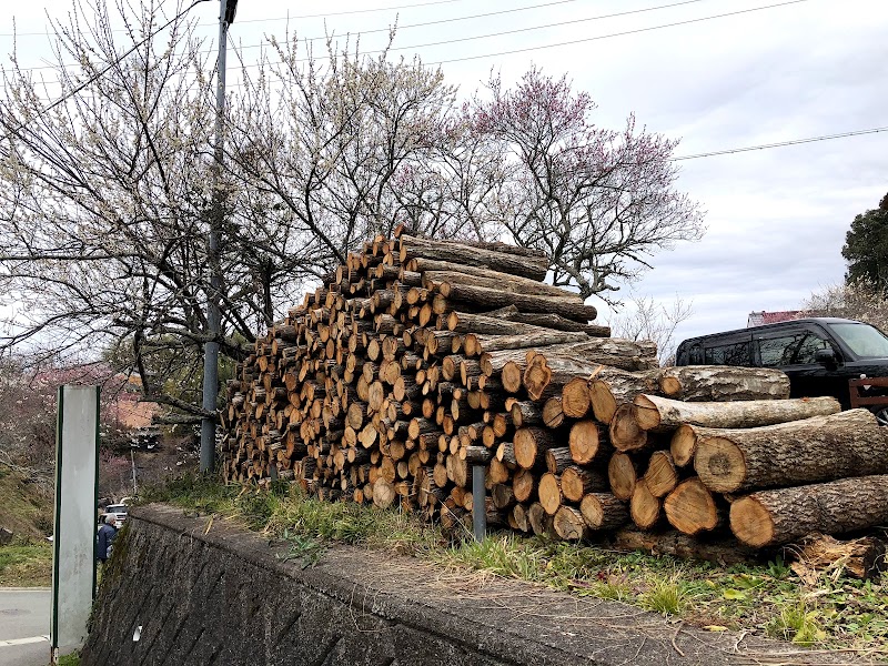 松田椎茸園