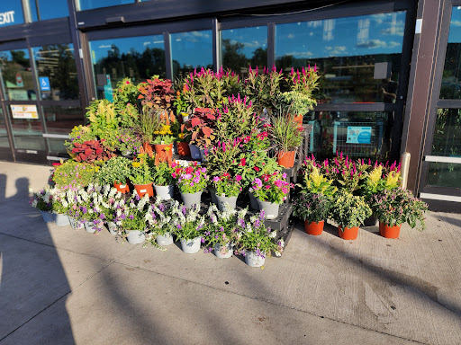 Supermarket «Weis Markets», reviews and photos, 4525 Valley Road, Enola, PA 17025, USA