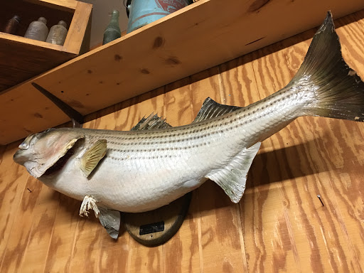 Grocery Store «Shelby Forest General Store», reviews and photos, 7729 Benjestown Rd, Millington, TN 38053, USA