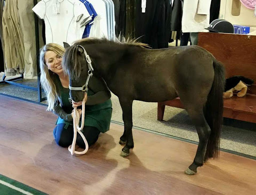 Tack Shop «Dover Saddlery», reviews and photos, 11120 Twenty Mile Rd, Parker, CO 80134, USA