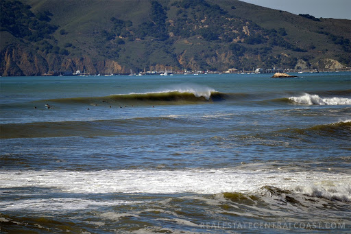 Surf Shop «Shell Beach Surf Shop», reviews and photos, 2665 Shell Beach Rd Ste K, Pismo Beach, CA 93449, USA