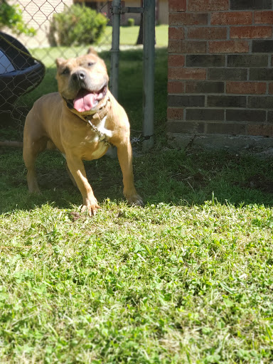 Pet Supply Store «Animal Health Products», reviews and photos, 995 I 20 Frontage Rd, Jackson, MS 39204, USA