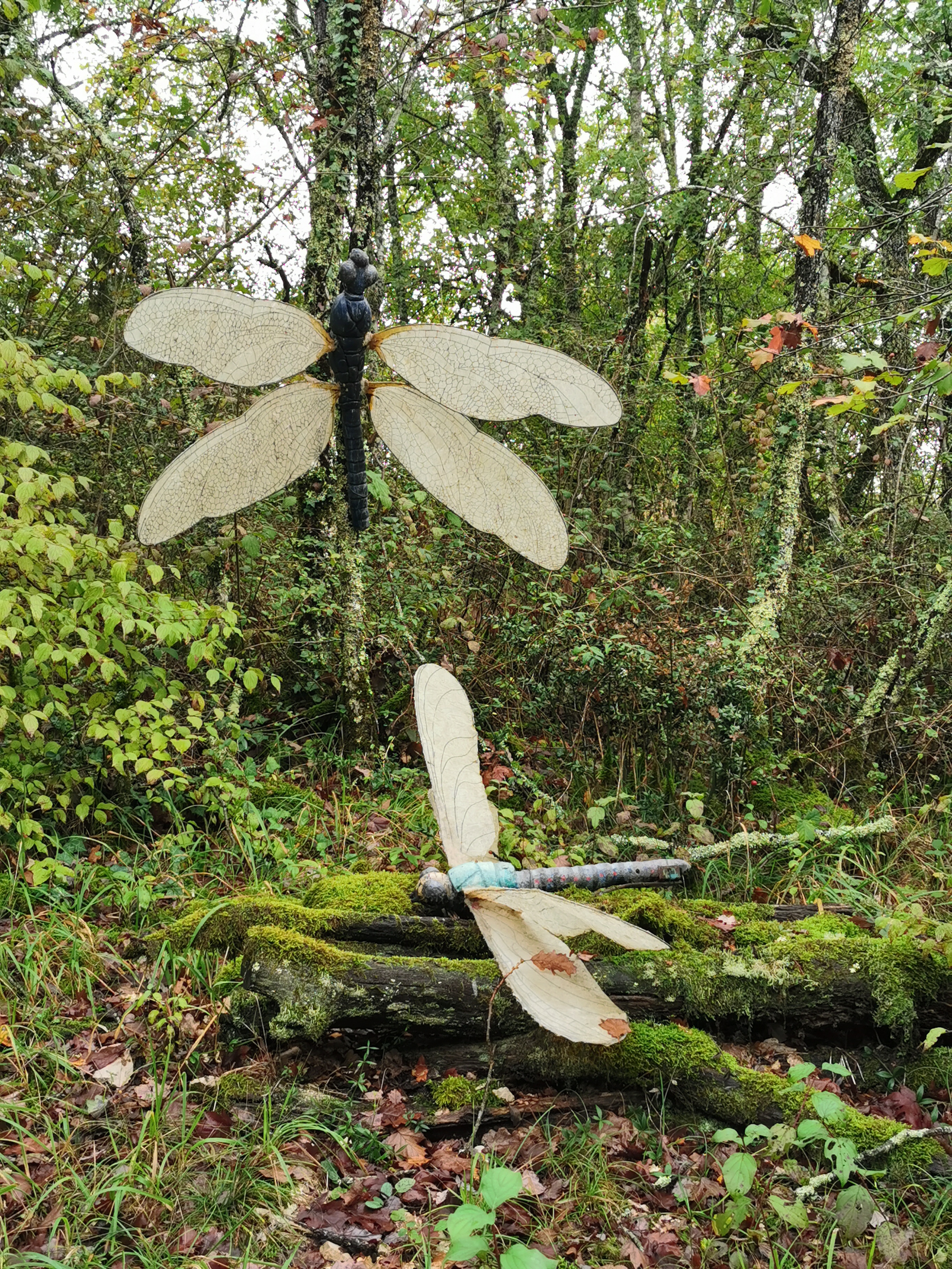 Photo n° 2 de l'avis de pascal. fait le 23/10/2019 à 14:57