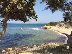 Sfakia beach的照片 带有小海湾