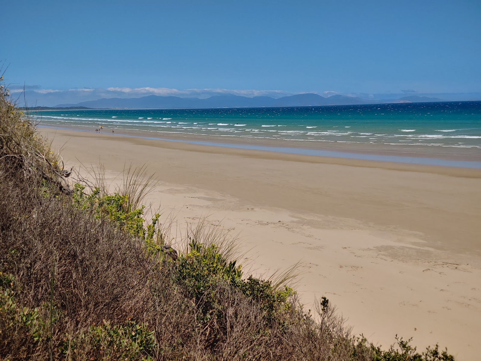 Φωτογραφία του Waratah Beach με μακρά ευθεία ακτή