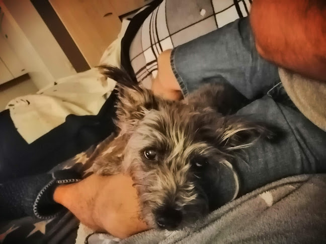 Lambrechts Els - Aarschot