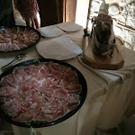 Photo n°13 de l'avis de salvo.a fait le 04/09/2018 à 18:14 sur le  Castello Degli Dei à San Giorgio Morgeto