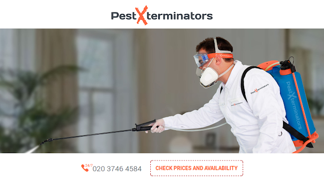 Reviews of Pest Xterminators in London - Pest control service