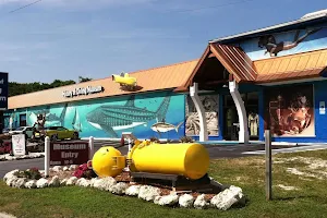 History of Diving Museum image
