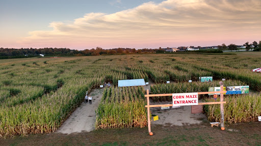 Tourist Attraction «Shipshewana Corn Maze», reviews and photos, 505 Morton St, Shipshewana, IN 46565, USA