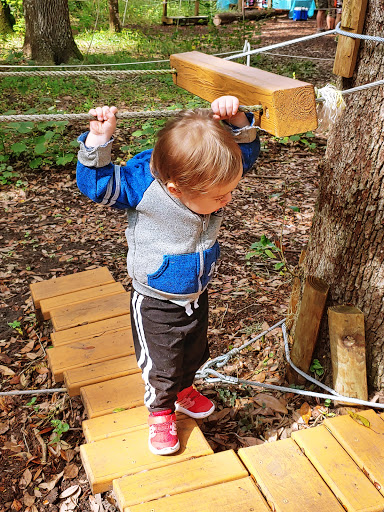 Theme Park «TreeHoppers Aerial Adventure Park», reviews and photos, 27839 St Joe Rd, Dade City, FL 33525, USA