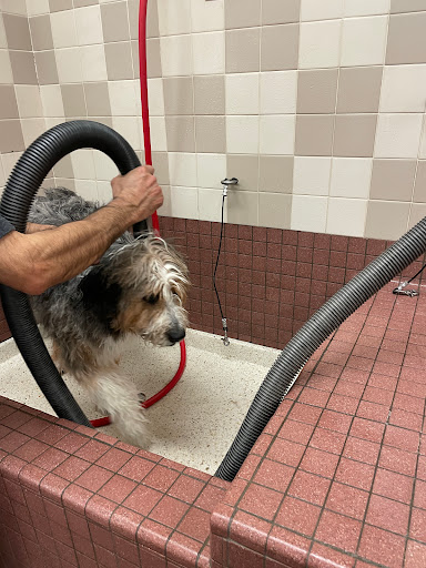 Pet Food Express image