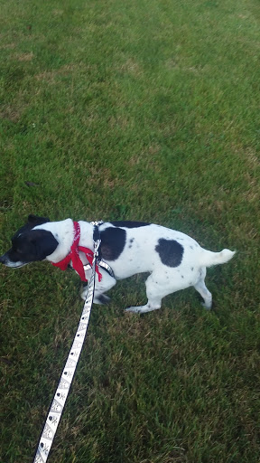 Pet Supply Store «Pet Supplies Plus», reviews and photos, 120 Sara Way, Belle Vernon, PA 15012, USA