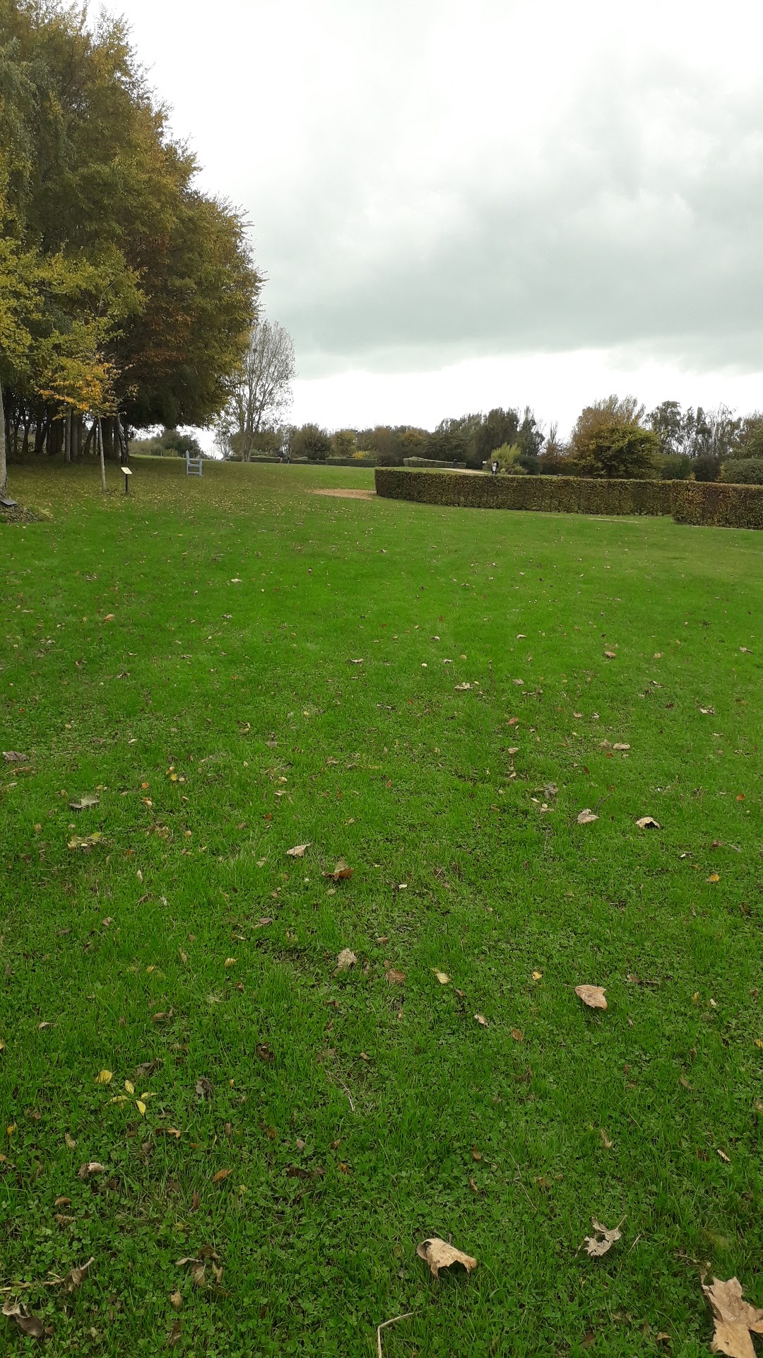 Photo n° 3 de l'avis de nanau. fait le 29/10/2021 à 10:49