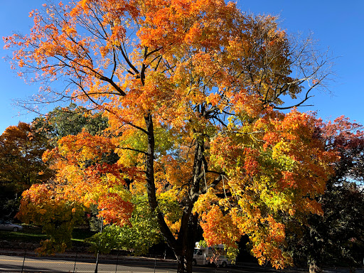 Park «Warren Park», reviews and photos, 90 Washington St, Wellesley, MA 02481, USA