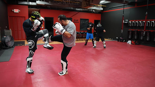 Martial Arts School «ULTIMATE FIGHTING & FITNESS ACADEMY», reviews and photos, 65 E Palatine Rd #313, Prospect Heights, IL 60070, USA