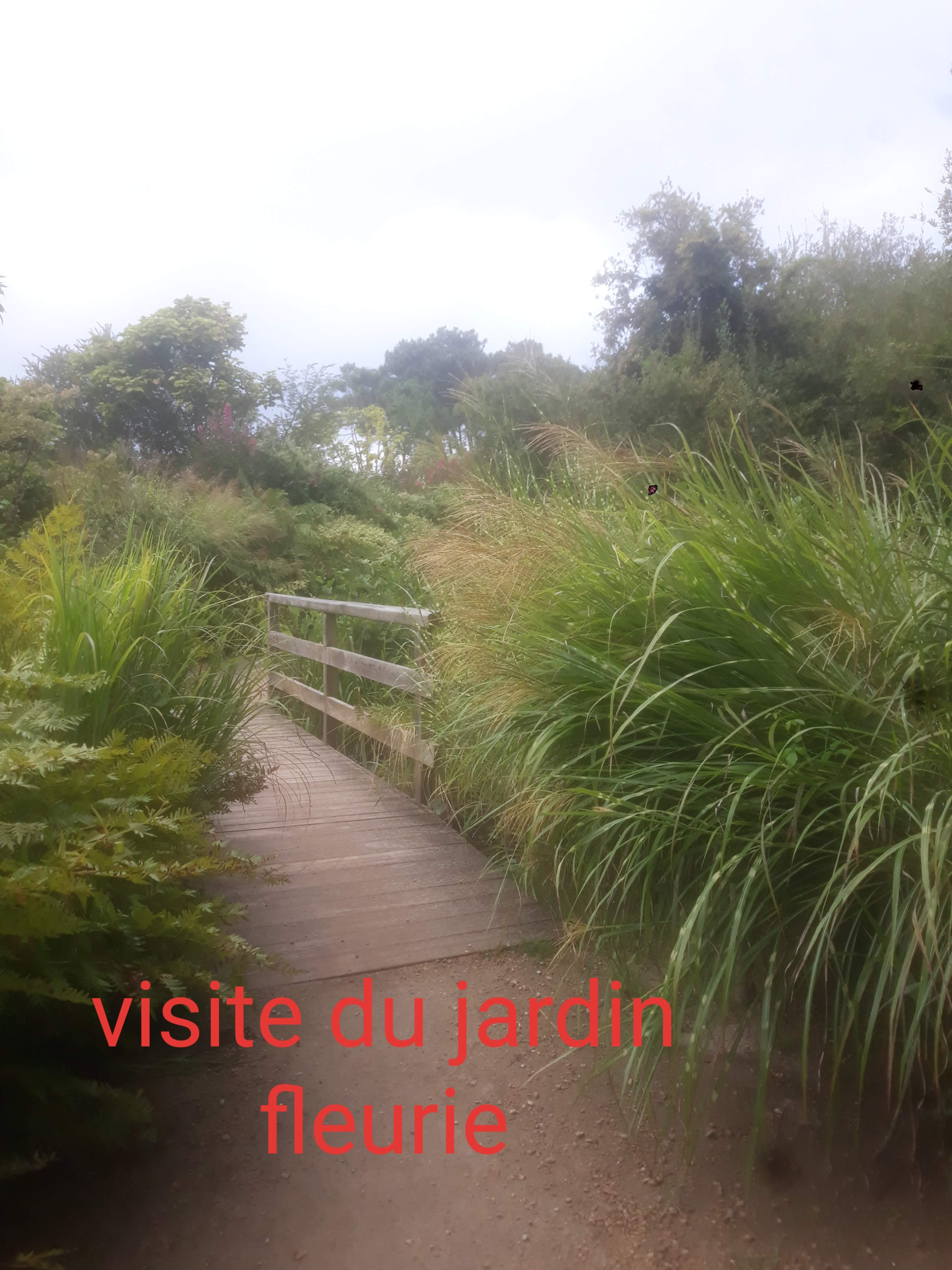 Photo n° 7 de l'avis de Magali.a fait le 10/09/2021 à 20:16