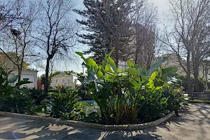 Jardim dos Passarinhos image