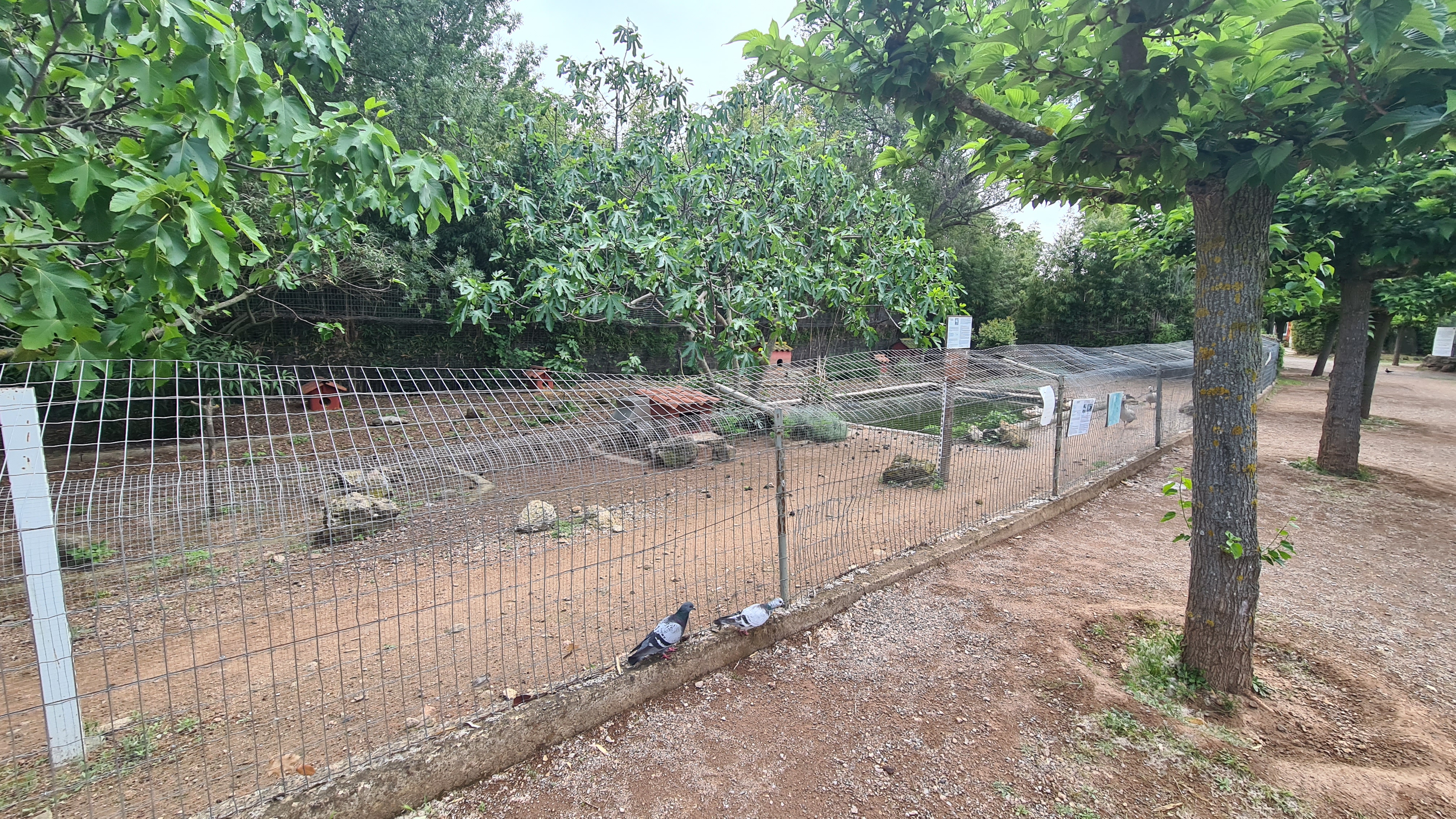 Photo n° 39 de l'avis de Nazim.a fait le 08/05/2022 à 17:00