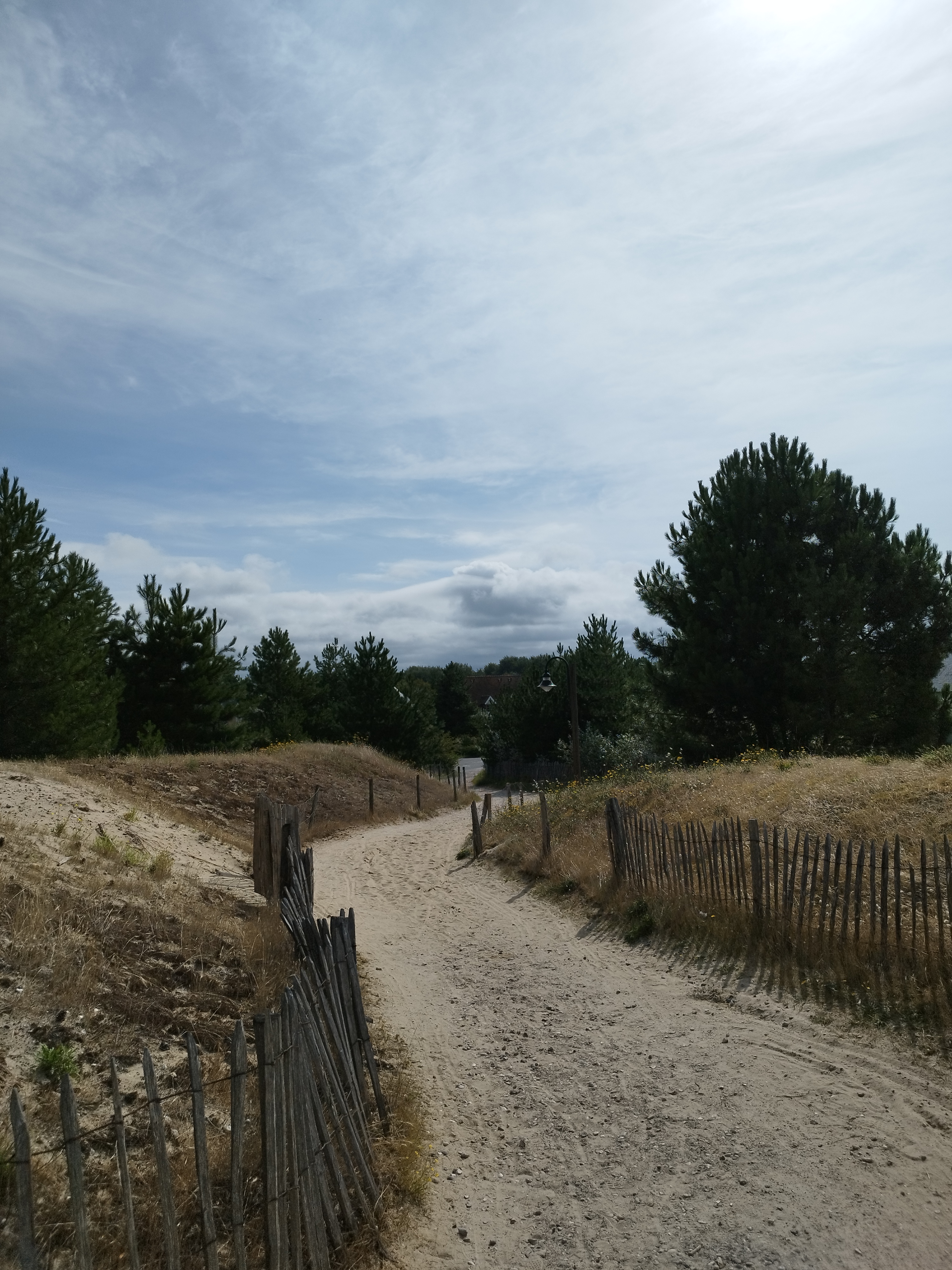 Photo n° 2 de l'avis de MylèneL. fait le 13/08/2023 à 15:29