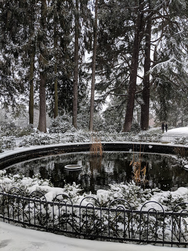 Park «Volunteer Park», reviews and photos, 1247 15th Ave E, Seattle, WA 98112, USA