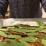 Photo n°4 de l'avis de Federico.E fait le 01/01/2024 à 23:25 sur le  La Passatella - Agri-Pub à Paganico Sabino