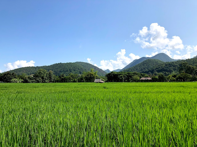 Pai Phu Fah Resort by null